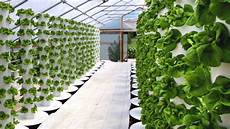 Diy Indoor Greenhouse