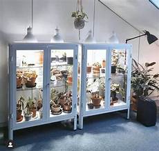 Diy Mini Greenhouse