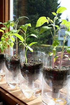 Diy Seed Starter Greenhouse