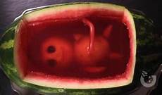 Film For Watermelon