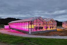 Greenhouse Light