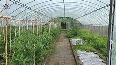 Greenhouse Pe