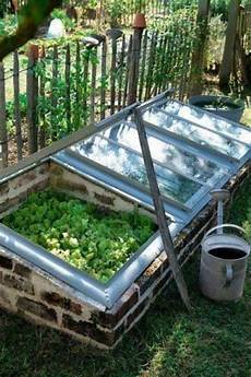 Greenhouse Planter Boxes