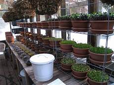 Greenhouse Setup