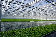 Hortitech Greenhouse
