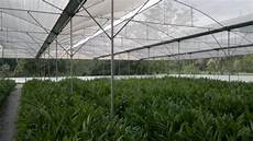 Hortitech Greenhouse