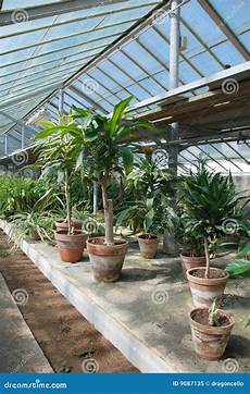 Hot House For Plants