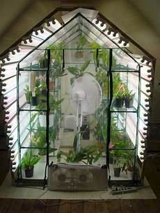 Indoor Greenhouses