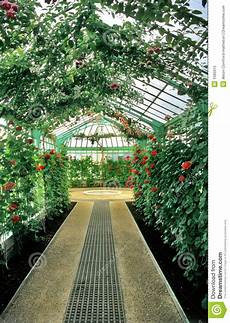 Inside Greenhouse