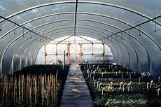 Low Tunnel Greenhouse
