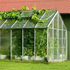 Makeshift Greenhouse