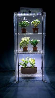 Mini Glass Greenhouse