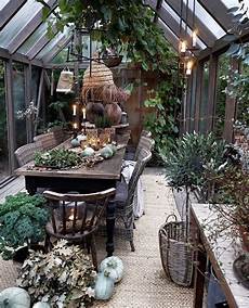 Mini Greenhouse Outdoor