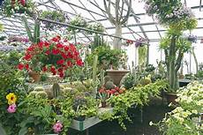 Otts Greenhouse