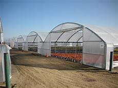 Poly Greenhouse