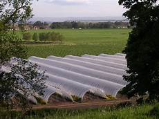 Poly Tunnel Plastic