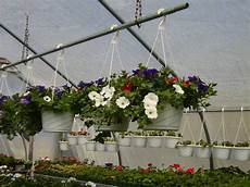 Rhodes Greenhouse