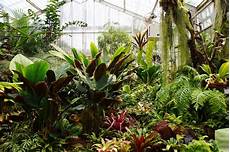 Tropical Greenhouse