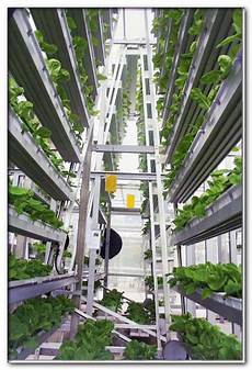 Vertical Greenhouse