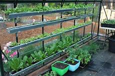 Winter Greenhouse Vegetables