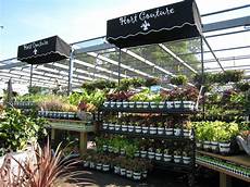 Green Thumb Greenhouse