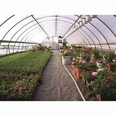 Greenhouse Film