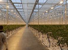 Greenhouse Management