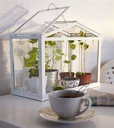 Mini Indoor Greenhouse