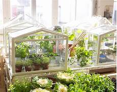Mini Indoor Greenhouse