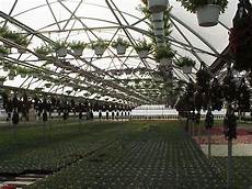 Traditional Greenhouse